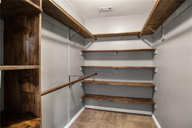 walk in closet with carpet