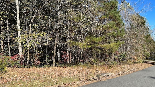 105 Sugar Birch Way, Dallas GA, 30132 land for sale