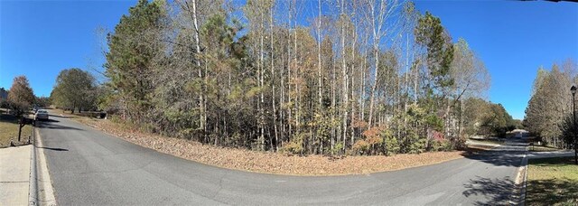 105 Sugar Birch Way, Dallas, GA 30132