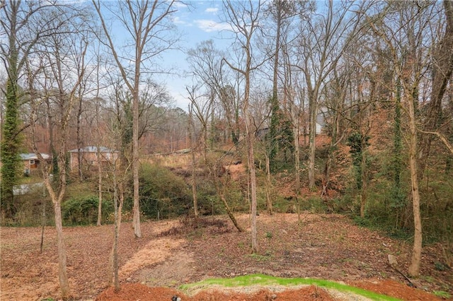 1005 Sims Ave NW, Atlanta, GA 30318 - view of yard