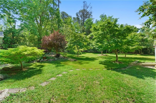view of green lawn