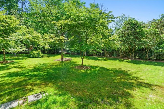 view of green lawn