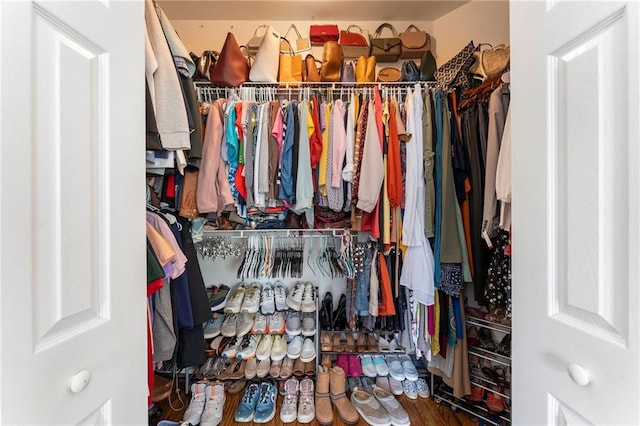 view of spacious closet