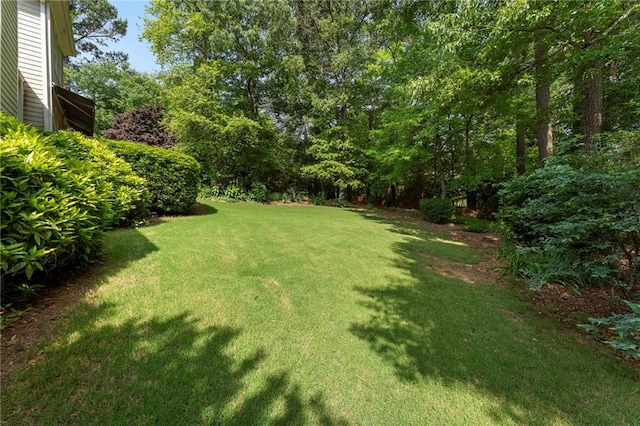 view of yard