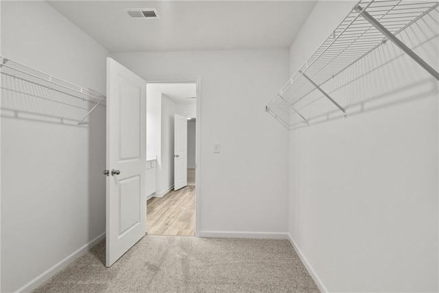 spacious closet with light carpet