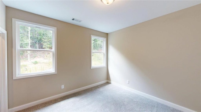 113 Cherokee Estates Dr, Cedartown, GA 30125 - unfurnished room featuring healthy amount of natural light and light colored carpet