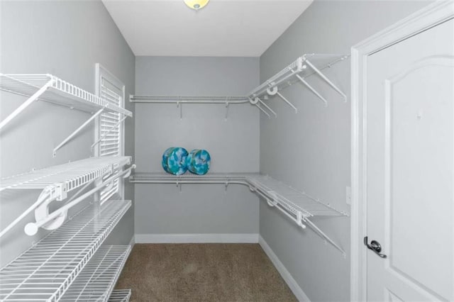 1027 Eagles Brooke Dr, Locust Grove, GA 30248 - walk in closet featuring carpet