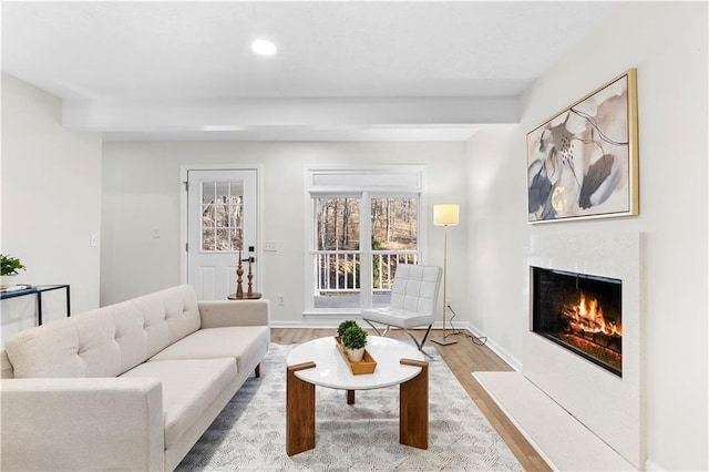 living room featuring light wood-type flooring