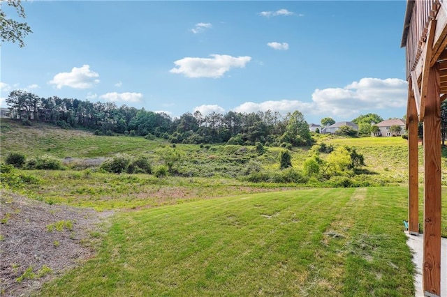 2646 Neighborhood Walk S, Villa Rica, GA 30180 - view of yard