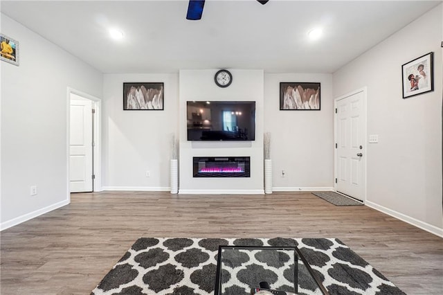 2646 Neighborhood Walk S, Villa Rica, GA 30180 - living area featuring baseboards, a glass covered fireplace, recessed lighting, and wood finished floors