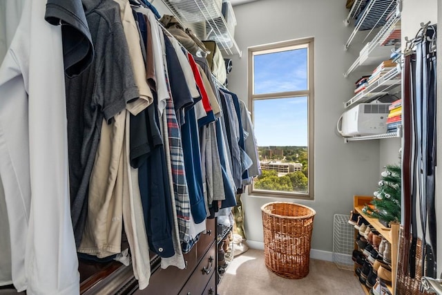 spacious closet with carpet floors