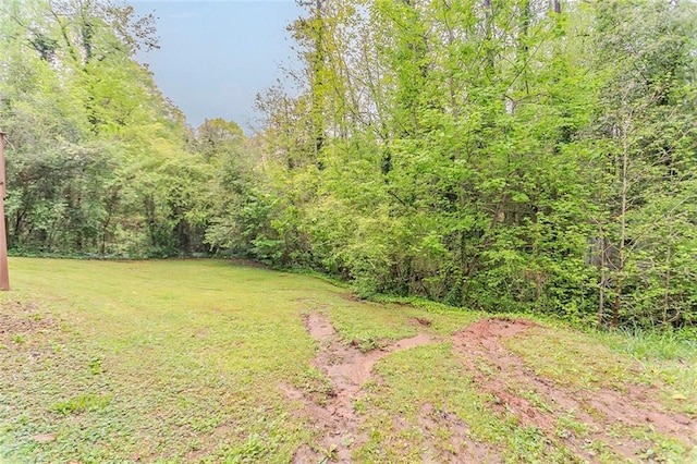 2682 Cavalier Dr, Decatur, GA 30034 - view of yard featuring a view of trees
