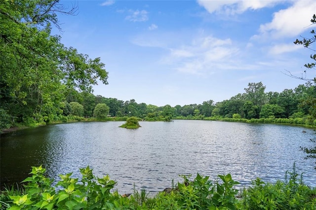4594 Poplar Rd, Pine Lake, GA 30072 - water view with a heavily wooded area
