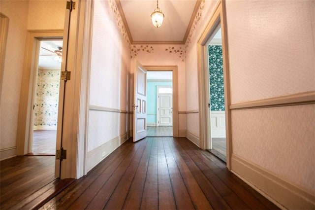 corridor featuring dark wood-type flooring and ornamental molding