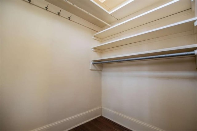 spacious closet featuring dark hardwood / wood-style flooring