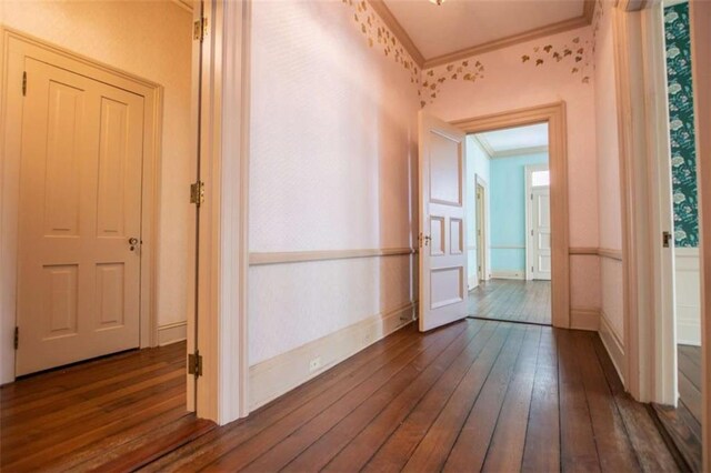 hall with crown molding and dark wood-type flooring