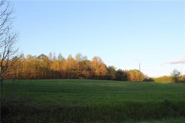 view of yard featuring a rural view