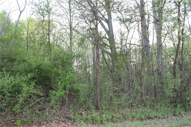 view of local wilderness