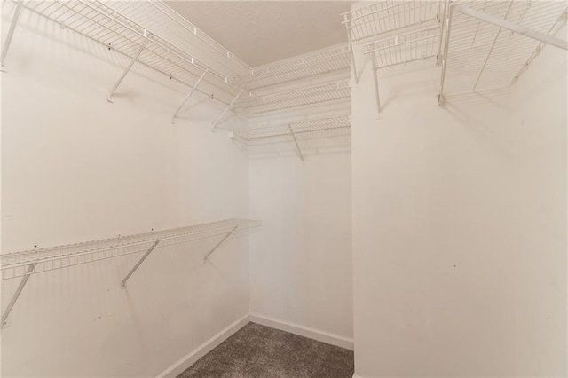 6683 Princeton Park Ct, Lithonia, GA 30058 - spacious closet with carpet flooring