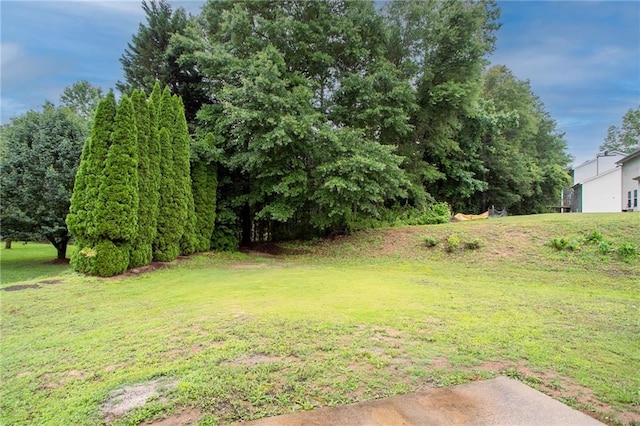 6683 Princeton Park Ct, Lithonia, GA 30058 - view of green lawn