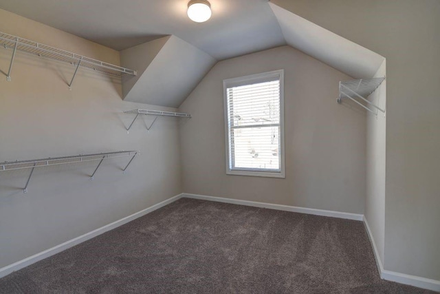 walk in closet featuring vaulted ceiling and dark colored carpet