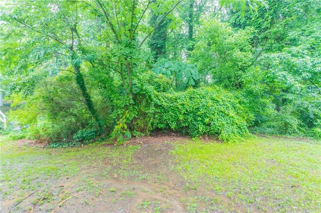 2817 Burton Rd NW, Atlanta, GA 30311 - view of yard