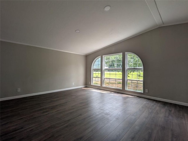 732 Five Points Rd, Buchanan, GA 30113 - empty room featuring lofted ceiling, dark wood-style floors, and crown molding