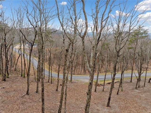 LOT21 High Summit Dr, Talking Rock GA, 30175 land for sale