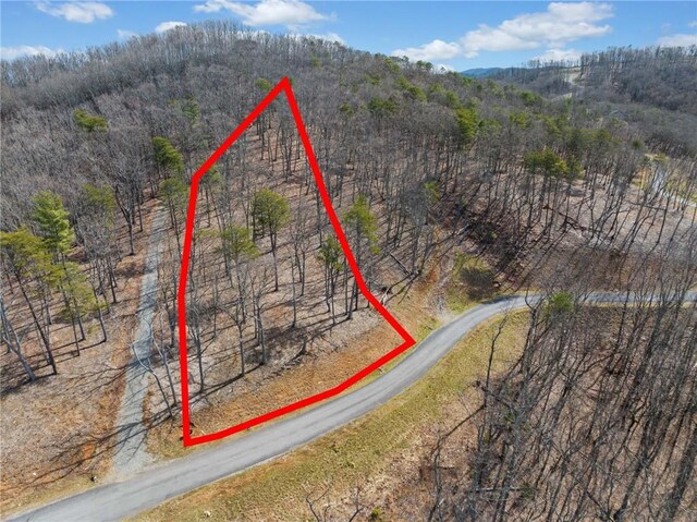 Listing photo 2 for LOT21 High Summit Dr, Talking Rock GA 30175