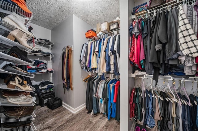 340 Chandler Ct, Sugar Hill, GA 30518 - spacious closet with wood finished floors