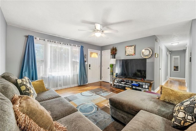 living room with ceiling fan, wood-type flooring, and a textured ceiling