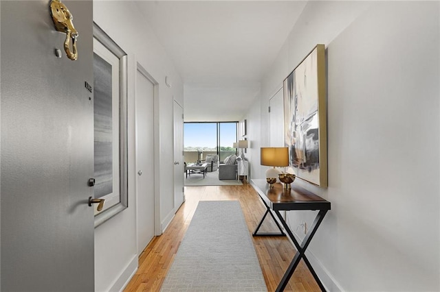 corridor with expansive windows and light hardwood / wood-style flooring