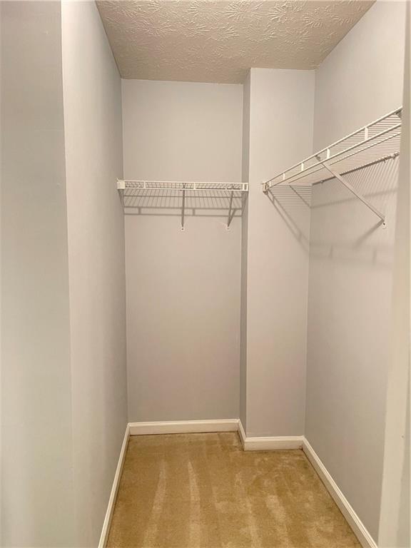 795 Abbotts Mill Ct Unit 73, Johns Creek, GA 30097 - spacious closet with carpet floors