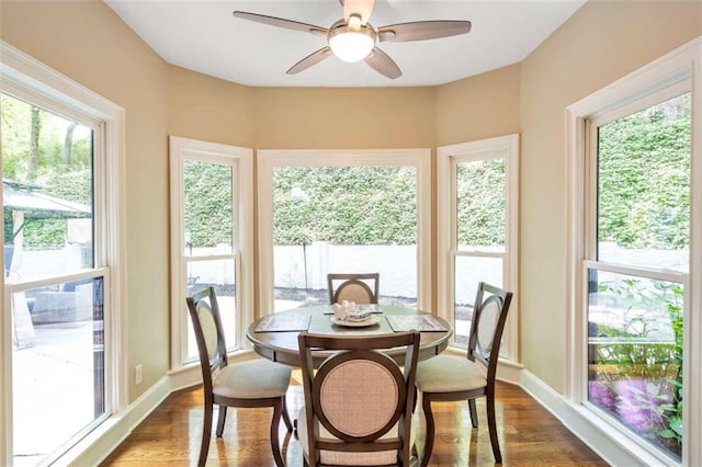 dining room featuring ceiling fan and hardwood / wood-style flooring