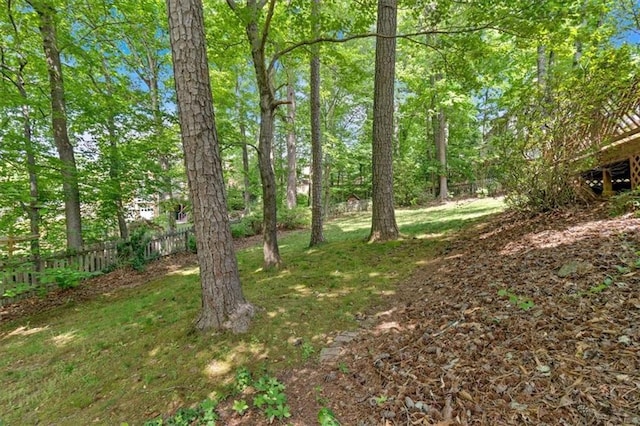 4181 Singing Post Ln NE, Roswell, GA 30075 - view of yard