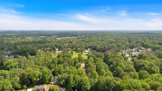 4181 Singing Post Ln NE, Roswell, GA 30075 - drone / aerial view of a forest