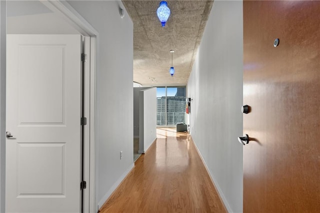 hall featuring a wall of windows and light wood-type flooring