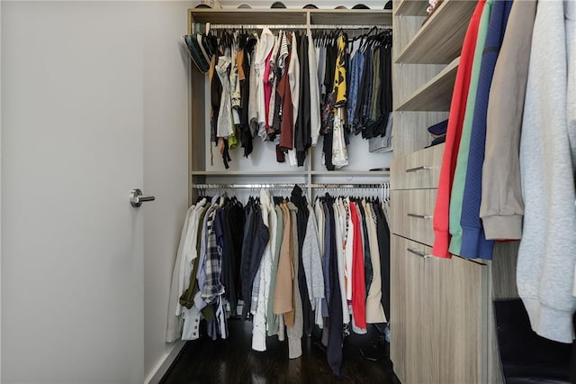 view of closet