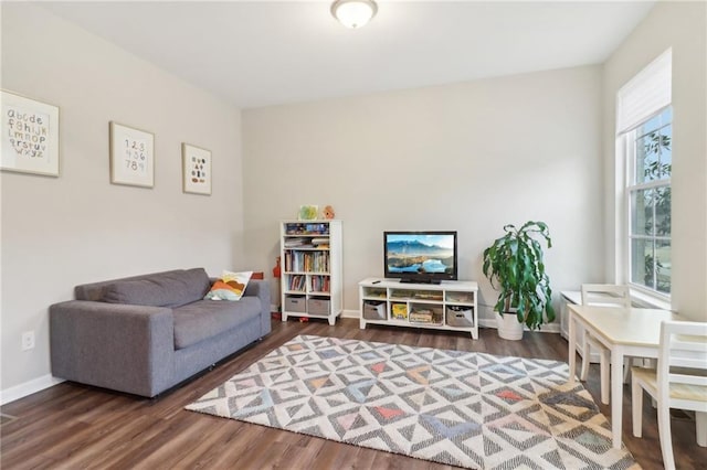 living room with dark hardwood / wood-style flooring