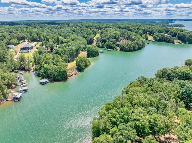 aerial view featuring a forest view and a water view