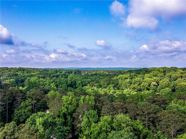 466 Thackery Pl SW, Atlanta, GA 30311 - aerial view of a heavily wooded area