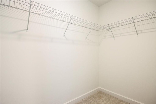 walk in closet with light carpet