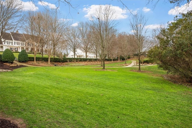 view of grassy yard