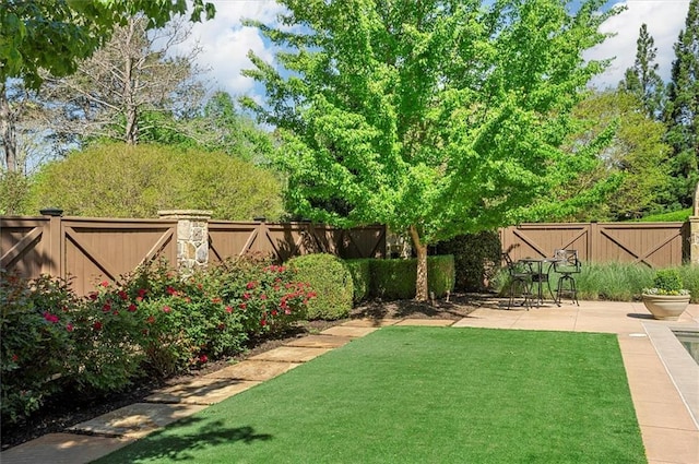 view of yard featuring a patio area