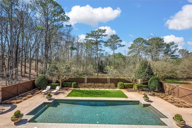 view of swimming pool featuring a patio area