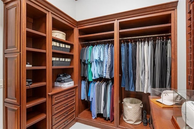 view of walk in closet