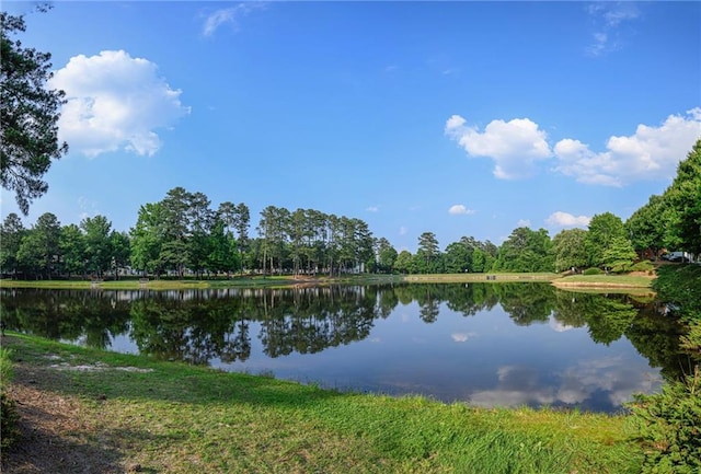 3343 Lathenview Ct, Alpharetta, GA 30004 - water view