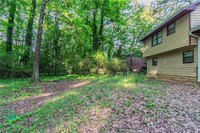 4342 Lincolndale Dr, Ellenwood, GA 30294 - view of yard