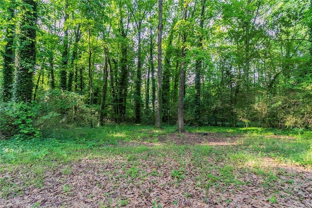 4342 Lincolndale Dr, Ellenwood, GA 30294 - view of wooded area