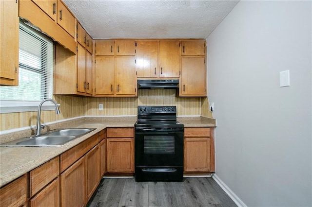 4342 Lincolndale Dr, Ellenwood, GA 30294 - kitchen featuring black range with electric cooktop, under cabinet range hood, a sink, dark wood-style flooring, and light countertops